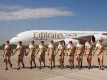 Neue Flugbegleiter gesucht: Casting bei Emirates