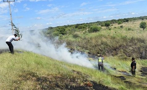 Feuriges Erbe: Die gefährliche Tradition der Brandrodung bringt das Land an den Abgrund