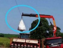 Landwirt bekommt schwere Verbrennungen nach Stromschlag beim Verladen von Soja