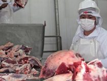 Die Türkei als Abnehmer von Fleisch im Visier