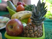 Ernährungszustand ist entscheidend, um Viren zu begegnen