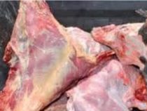 Eine Tonne Fleisch gespendet