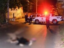 Motorradfahrer ohne Helm prallt gegen Baum und stirbt