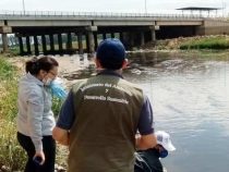 Klare Flüsse und Fische: Die andere Seite der Quarantäne