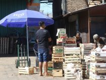 IWF: Paraguay wird Covid-19 kaum spüren