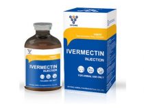Hochwirksames Medikament gegen das Covid-19-Virus gefunden