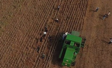 Kriegsangst am Weltmarkt: Droht unseren Bauern jetzt der Versorgungs-Kollaps?