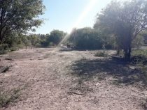 Trockenheit trifft vor allem Viehzüchter im Chaco