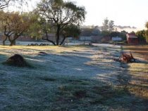 Erneut Frost in einigen Landesteilen