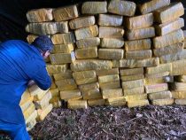Studie: Paraguayisches Marihuana ist das „schlechteste der Welt“
