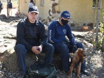 Die Suche nach Juliette wird zur nationalen Causa