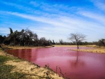 Chaco: Die rote Lagune