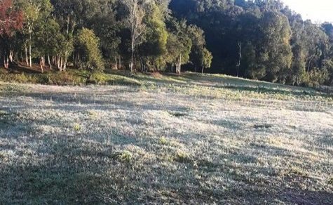 Frost-Alarm: Eisige Temperaturen am Dienstag und Mittwoch erwartet