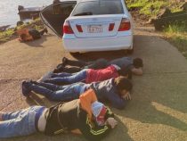 Über 200 Festnahmen wegen Illegaler Einreise