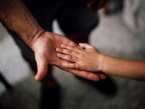 Senat genehmigt Datenbank für Sexualstraftäter