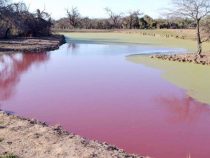 Wasseranalyse von roter Lagune in Auftrag gegeben