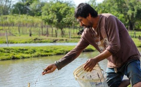 Mehr als nur Lebensmittel: Wie Fischzucht die Ernährungssicherheit verbessert