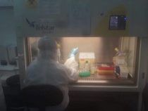 Jeder muss sich vor einer Operation einem Covid-19-Test unterziehen