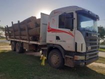 Chaco: Illegal geschlagenes Holz illegal abtransportiert