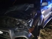 Polizist kollidiert mit freilaufendem Rind