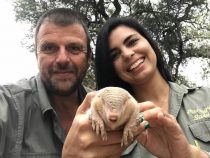 Einem der mysteriösesten Tiere der Welt auf der Spur
