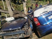 Ein Todesopfer bei schwerem Verkehrsunfall in Independencia