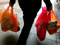 Nicht biologisch abbaubare Plastiktüten sollen verboten werden