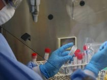 Covid-19 Tests: Richtig oder verfälscht?