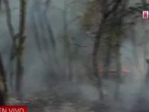 50.000 Hektar im Chaco verbrannt