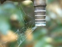 Der Krieg ums Wasser: Eine grundlegende Ressource des Lebens