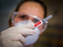 Haben die BBG-Impfstoffe und das Dengue-Fieber Auswirkungen auf Covid-19?