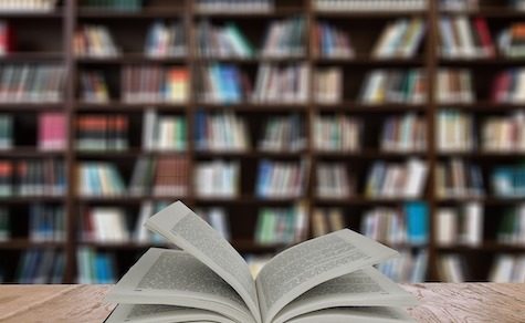 Zwischen Schatten und Licht – eine Geschichte über Mut, Selbstzweifel und die Suche nach dem eigenen Weg