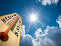 “Unbewohnbar“: Die hohen Kosten der Hitze fordern neue Stadtplanung