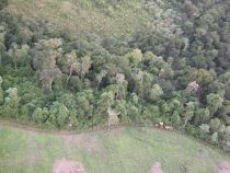 Naturschutzgebiete weiterhin für die breite Öffentlichkeit gesperrt