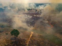 Der Rauch der Brände in Brasilien betrifft bereits 5 Nachbarländer
