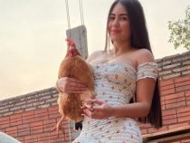 Die meisten Instagram-Follower: “Die Leute sind schlecht und neidisch“