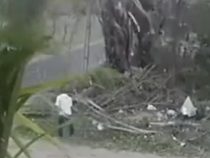 Manchen scheint die Hitze zu Kopf zu steigen