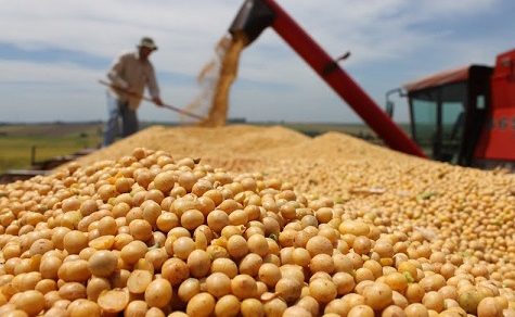 UGP schlägt Alarm: Geopolitische Hürden verhindern Paraguays Zugang zu Chinas Soja-Markt