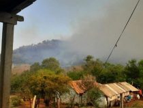 Neuer Waldbrand im Nationalpark gemeldet