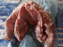 Hundefleisch statt Schwein verkauft