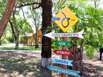 Die erste Mate-Bar in Paraguay