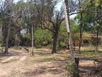 Rentner in Ypacaraí überfallen