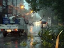 Sturm, umgestürzte Bäume und zahlreiche Beschwerden wegen Strom- und Internetausfall
