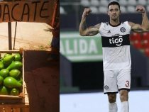 Fußballfan bietet kostenlose Avocados für ein T-Shirt