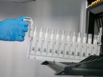 Die Hälfte der Bevölkerung verweigert den Covid-19-Test