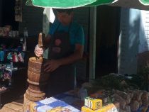 Gesund mit Immunkraft der Natur