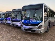 Man setzt verstärkt auf Iveco