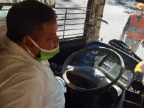 Jeder 5. Busfahrer ist nicht versichert