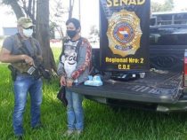 Deutschstämmiger mit Drogen im Bus festgenommen