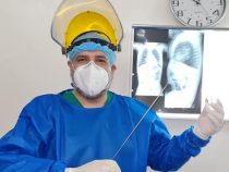 Sonnenblumen und die damit auftretenden Probleme